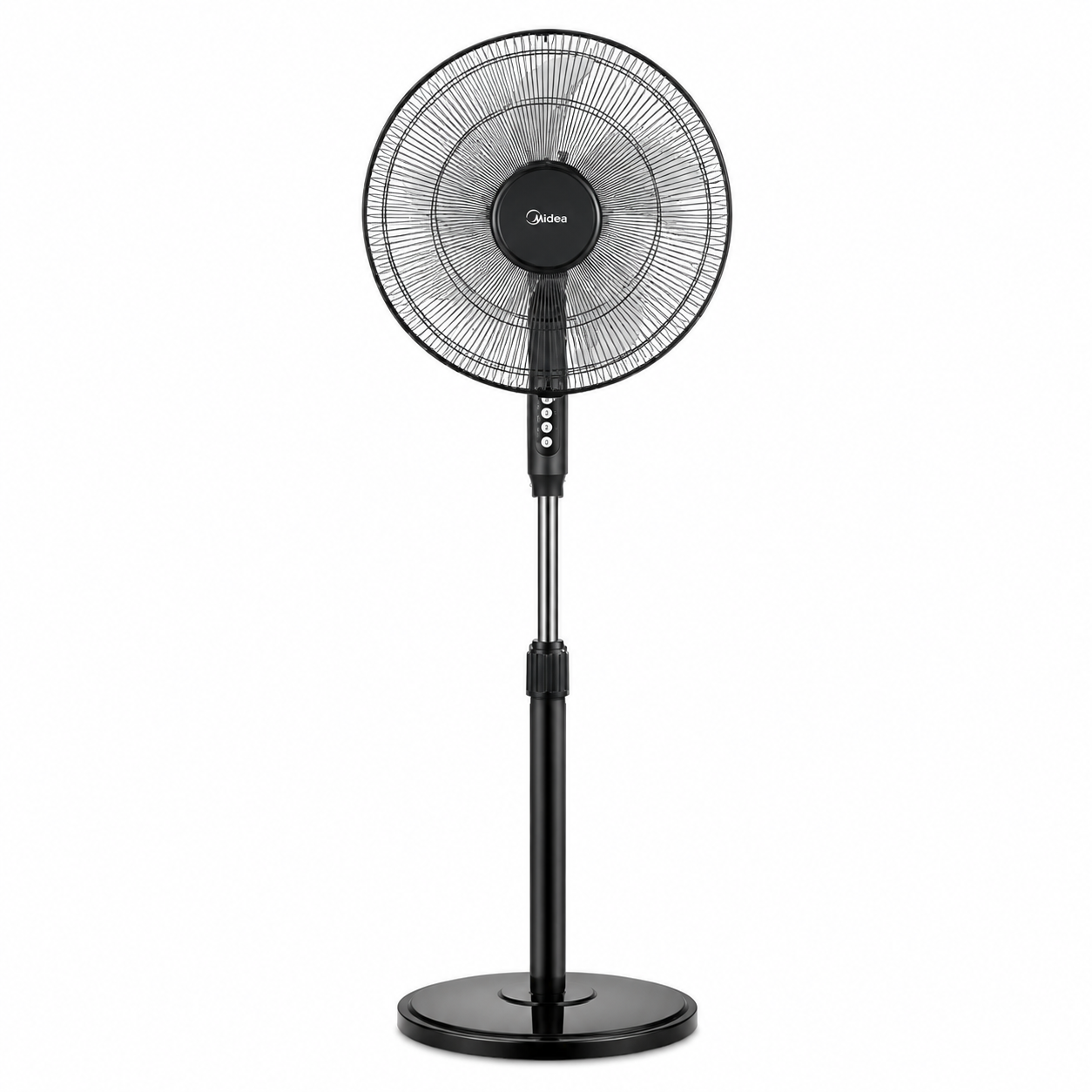 Fans