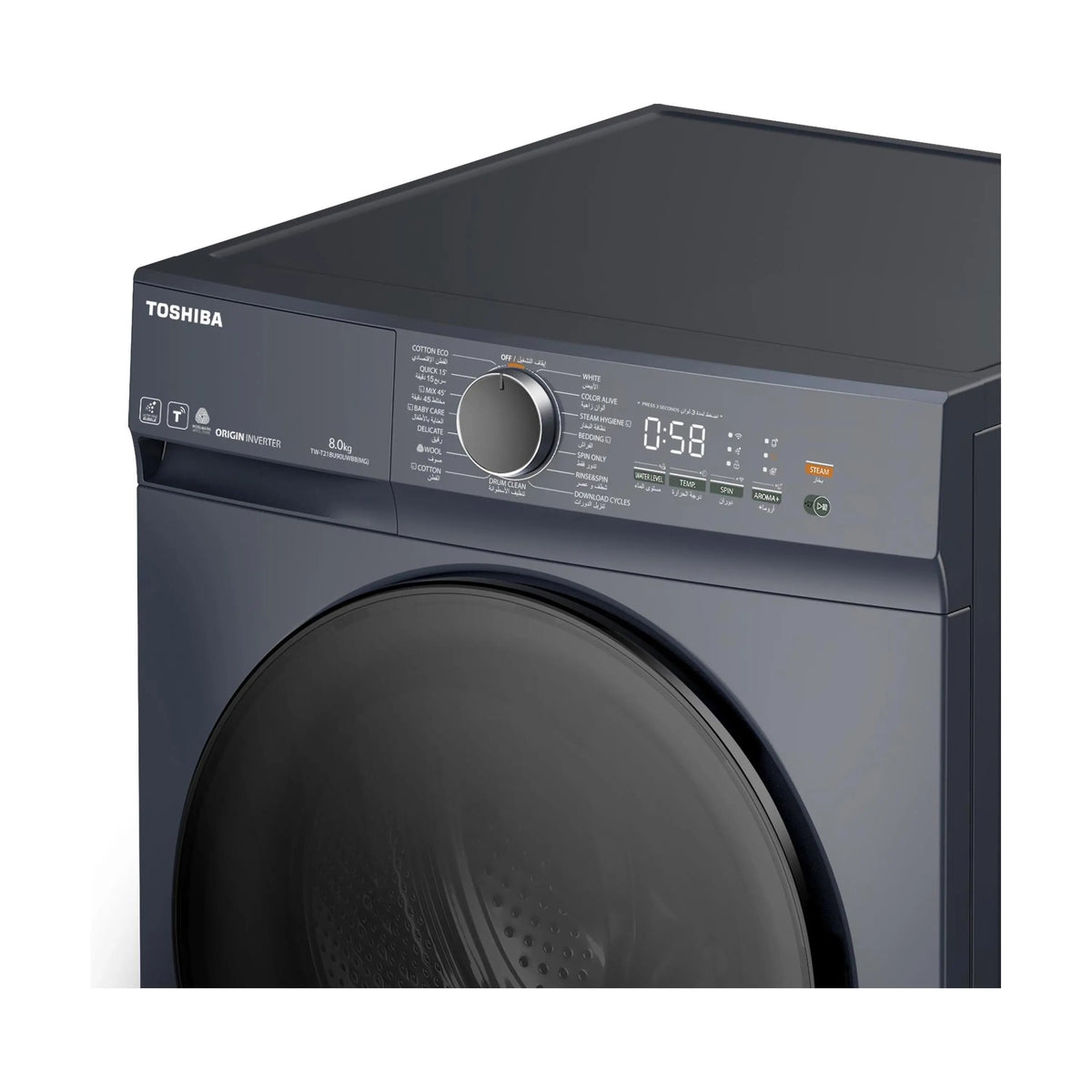 Toshiba T21 Front Load Washer 8KG (TW-T21BU90UWJ)